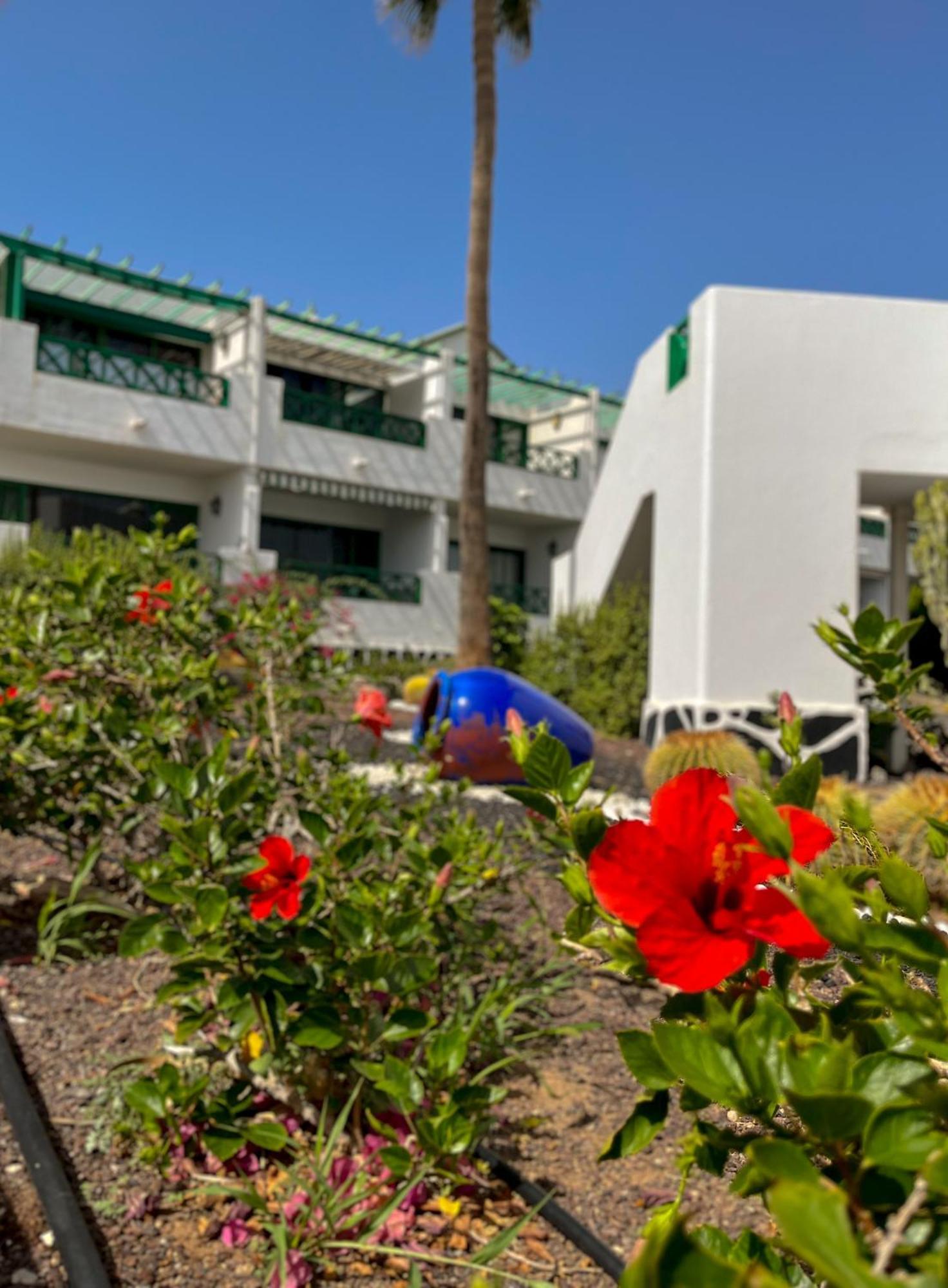 Beautiful Apartment Aguycan Beach 120 Playa Del Aguila 마스팔로마스 외부 사진
